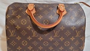 LV Speedy 25 monogram